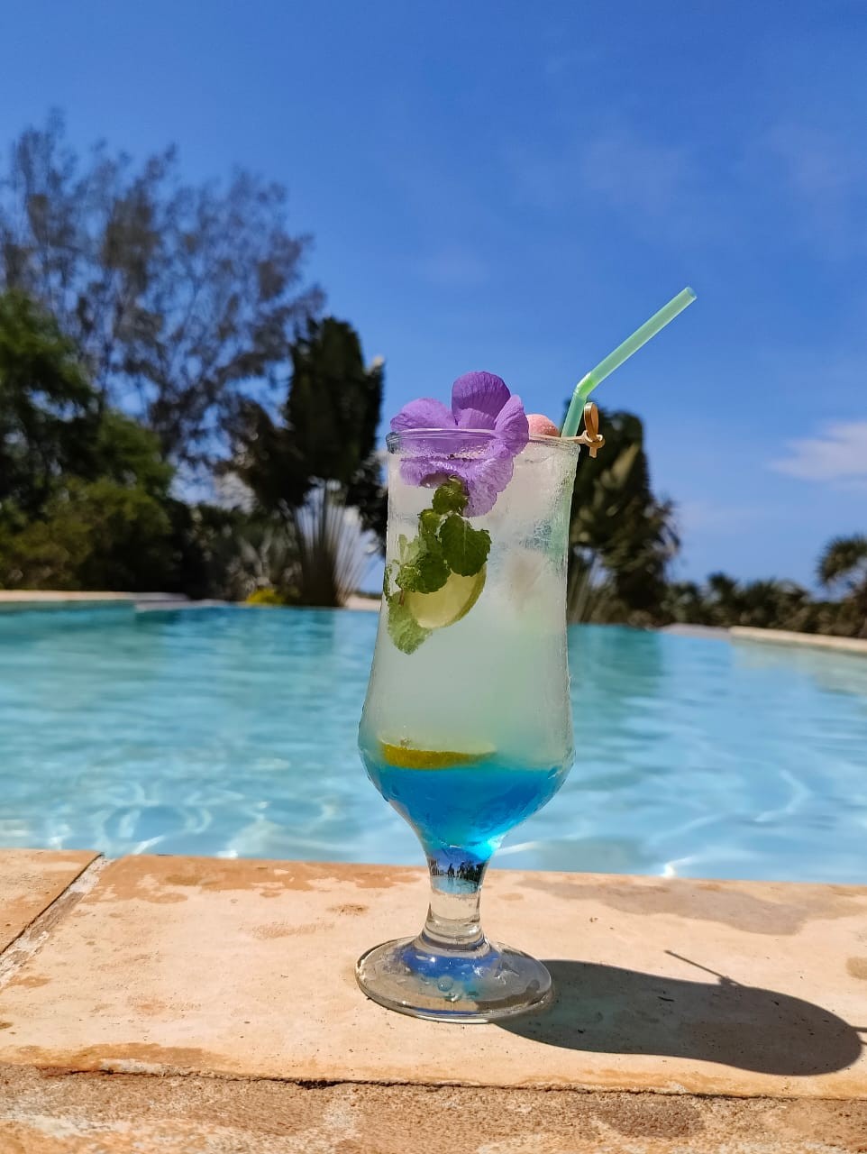 Cocktail avec vue sur la piscine et les bungalows